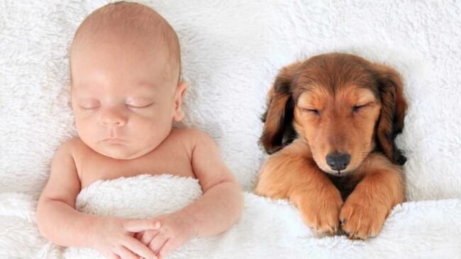 Blog Picture (1) Babies and pets can make an adorable team.