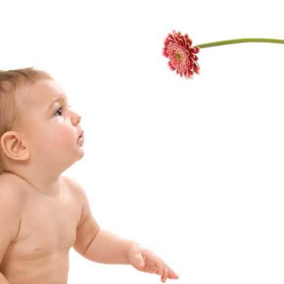 Parenting Guide Little Blooms Baby Gifts UK