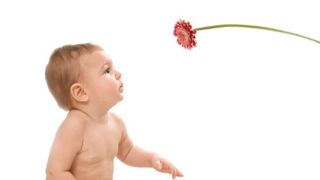 are-flowers-bad-for-babies (1)