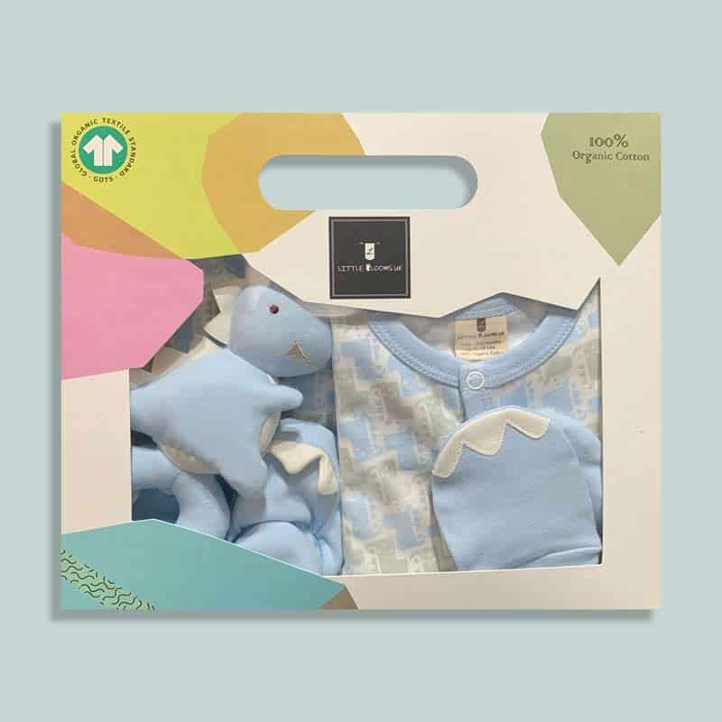 Baby Clothes Gift Set Blue Little Blooms Baby Gifts UK
