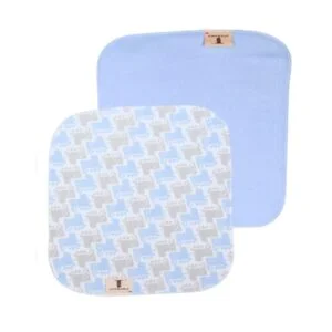 Dinosaur Print Baby Cloth -  Blue